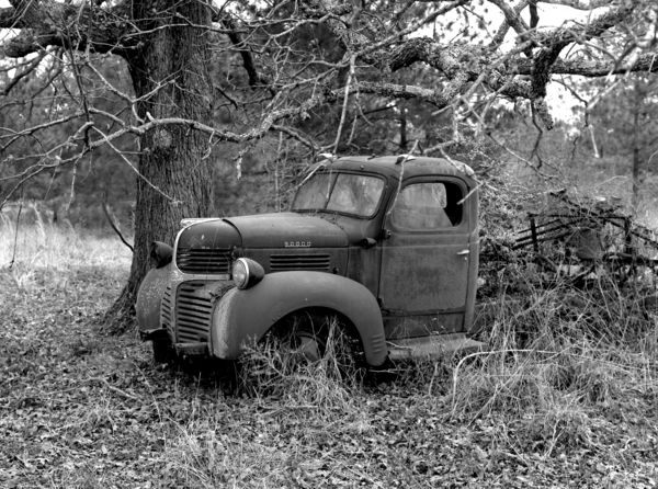 Lost and forgotten in the East Texas Woods...