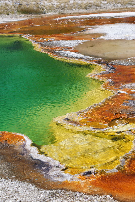 The colors of some of the geysers - West Thumb...