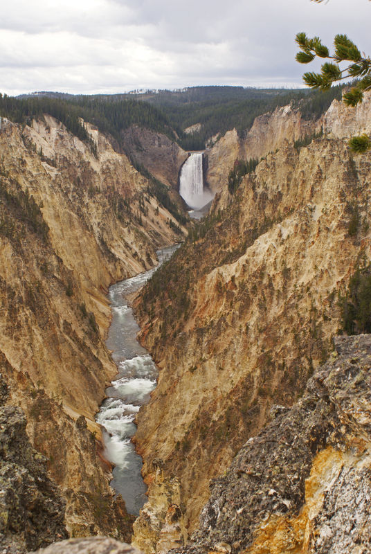 Grand Canyon of the Yellowstone - Lower Falls...
