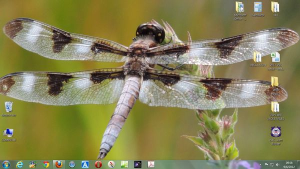 My main desktop view...