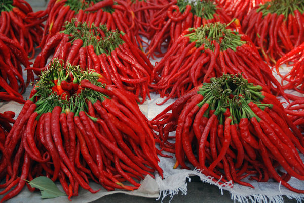 Bunches of red peppers for sale....