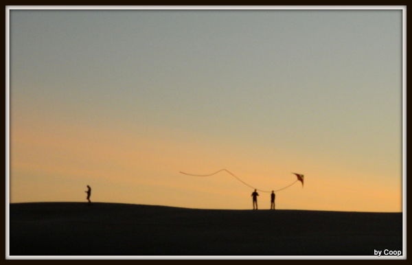 Kites at sunset...