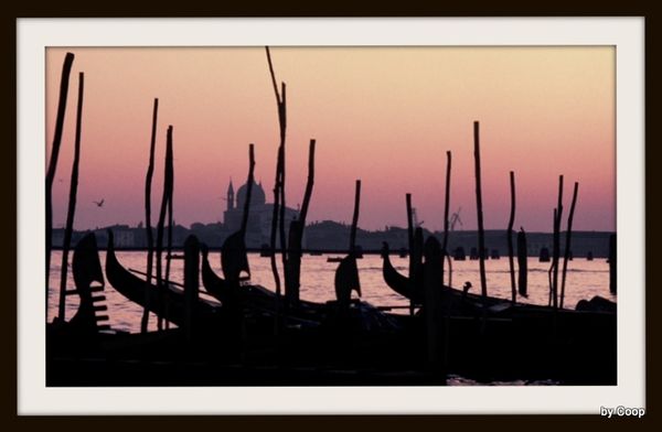 Venice sunset...