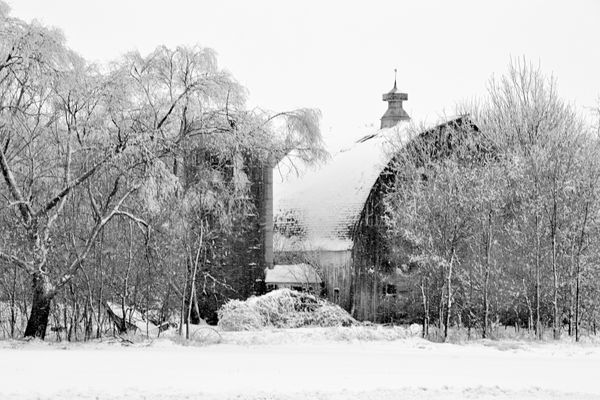 Mn Ice Storm / Abandoned Barn...