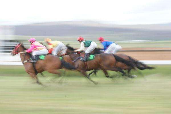 Adaminaby Horse Races...