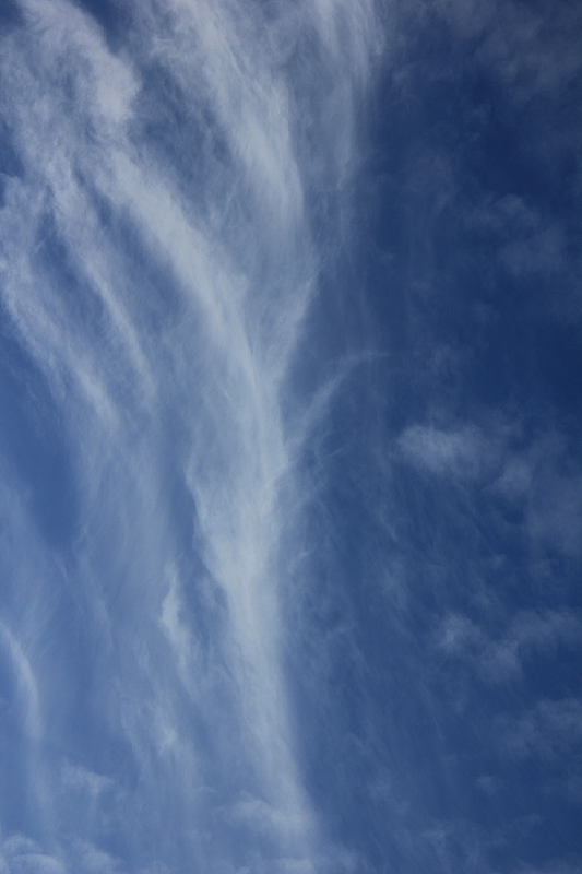 A vertical shot of fast moving clouds...