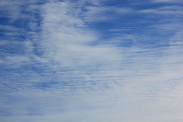 These are what is called ''mackerel sky'' and ther...