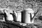 Watering Cans...