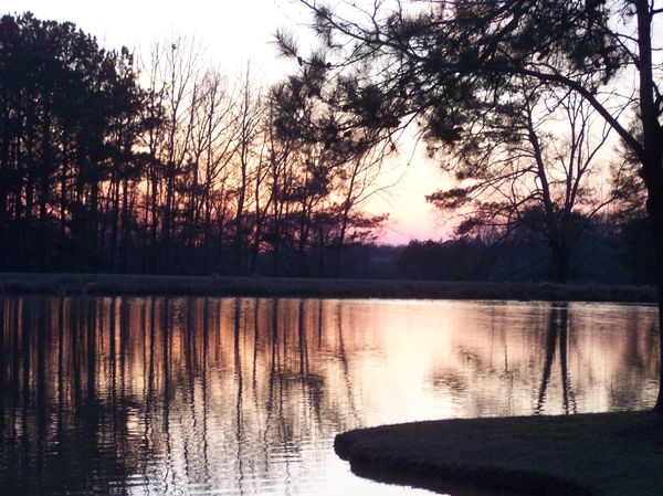 Sunset on pond - Shorter, Alabama...