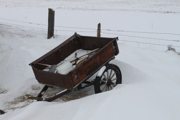 Old Feed cart...