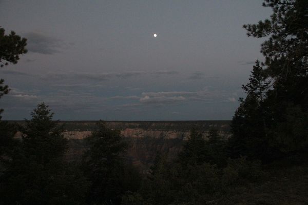 Full Moon over the Canyon...