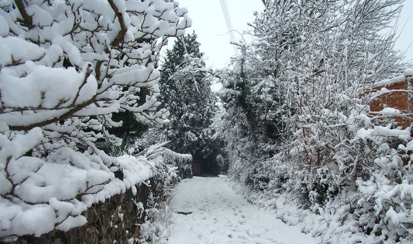 looking down the lane. snow on left looked interes...