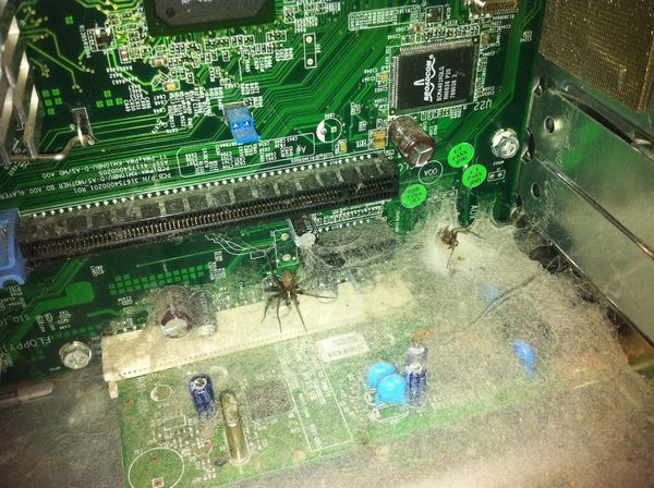 Infested PC...