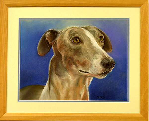 Greyhound Rescue Exhibition No1...