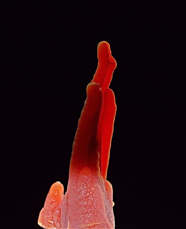 Chalcedony stalactite 2", Mexico...