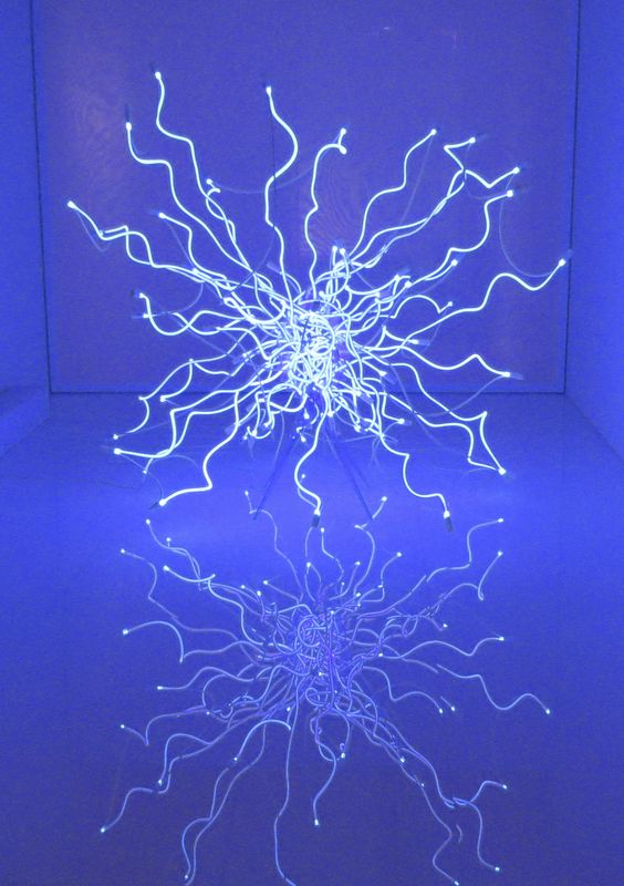 Chihuly neon exhibit at Virginia Museam...