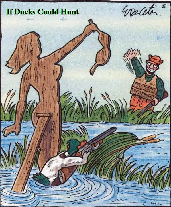 if ducks could hunt...