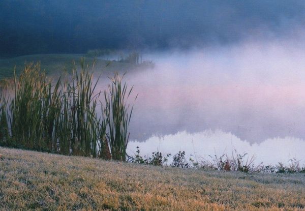 Mist rising from a pond near Sullivan,Ohio...