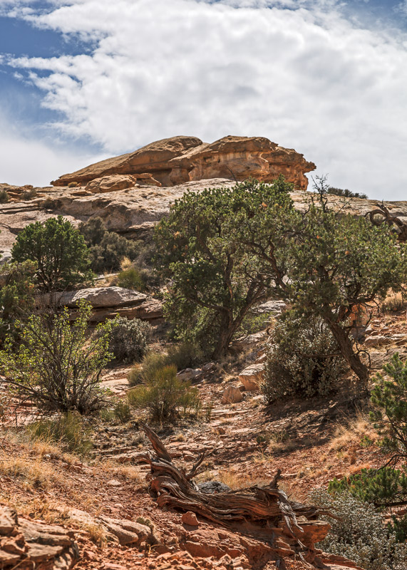 View from Hickman Bridge Trail, Capitol Reef NP...
