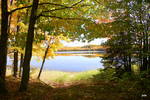 Autumn along the Forest Lake Basin; Upper Michigan...