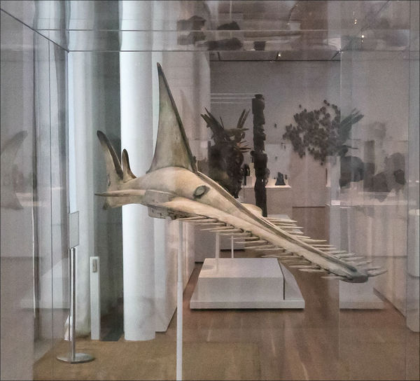 African Mask, Sawfish, NC Museum of Art, Raleigh, ...