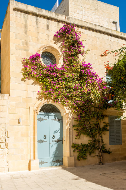 A facade from an old but conserved house in Mdina....