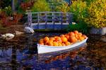pumpkin boat...