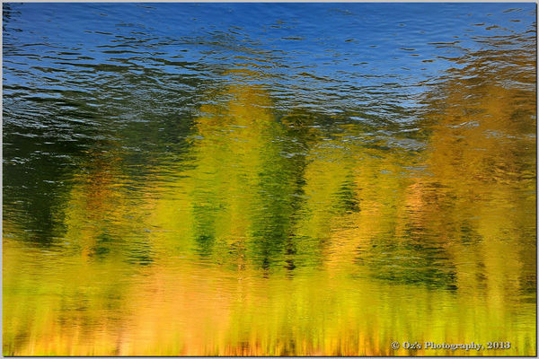Fall reflections on the Rogue River...
