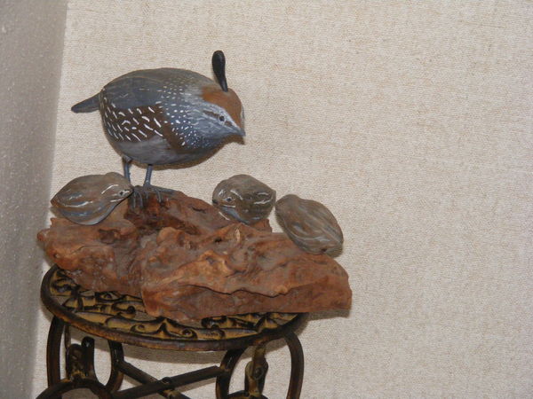 State bird of California - the Almighty QUAIL...