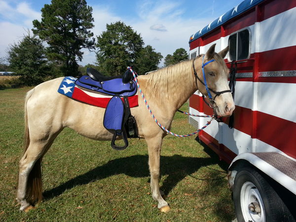 Ready to Ride, Really patriotic, too bad this coun...