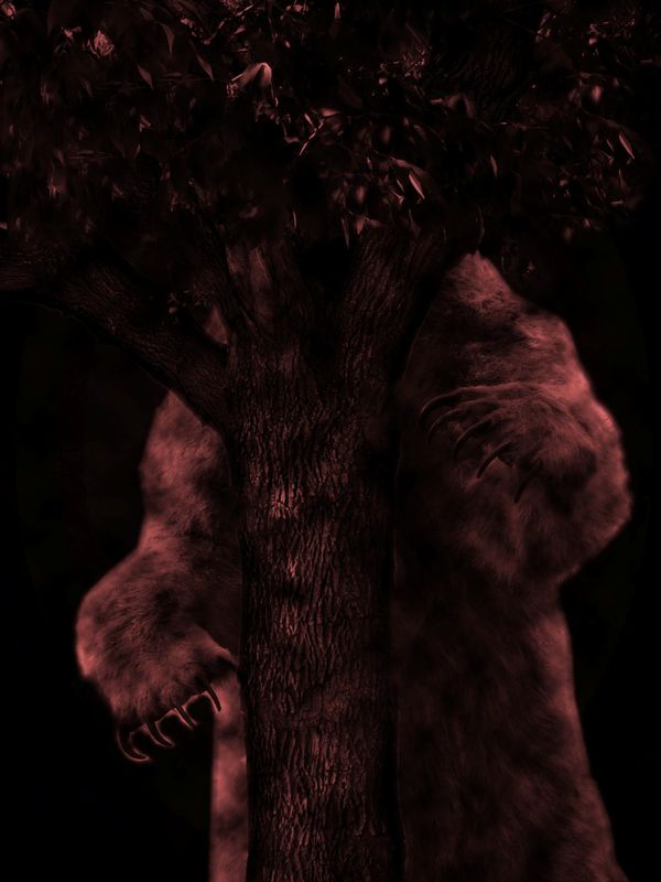 Werewolf in the woods....