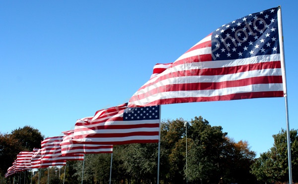 Veterans Day Flags...