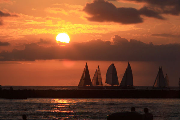 Sails in the Sunset...
