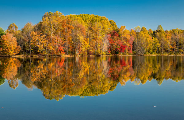 Fall colors reflection in Seneca Park,Maryland...