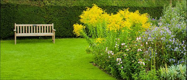 White's garden, Selbourne, Hampshire....