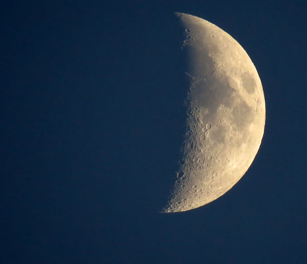 Handheld, and using 1.5x in-camera teleconverter o...