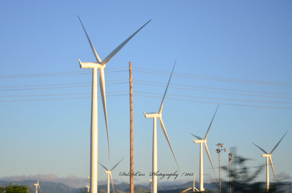More Wind Mills for electricity....