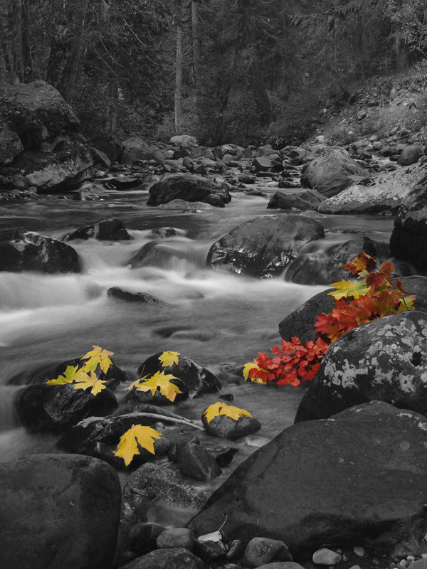 Selective Color...