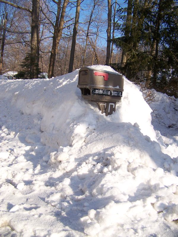 Snow buried mail box-something to look forward too...