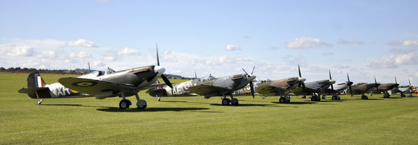 A nice line up of Spitfires...