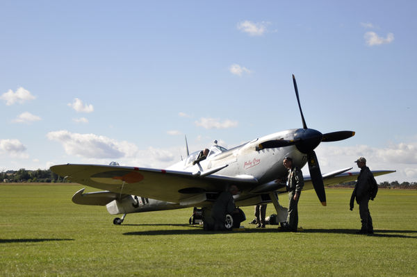 Spitfire Mk 9 Polly Grey...