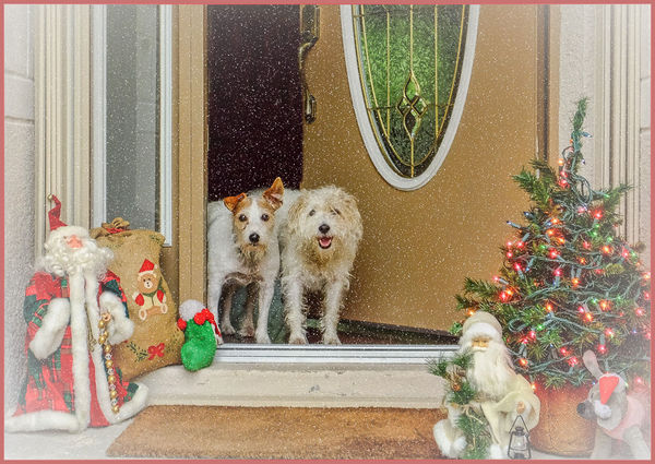 Door Greeters - waiting for Santa!...