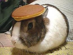 How about a bunny with a pancake on it's head?...