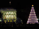 Holiday Cheer from the White House...