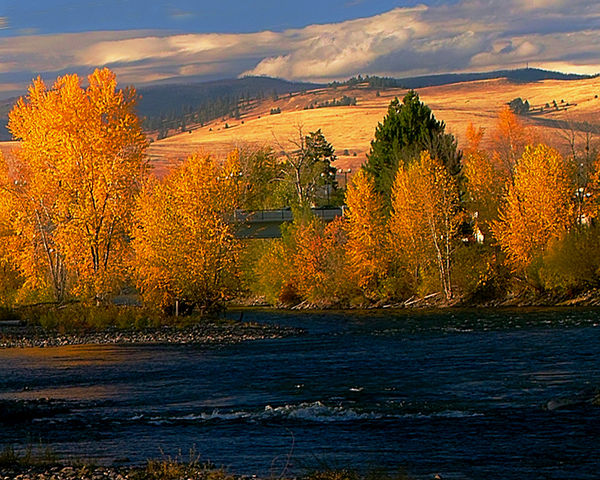 Fall colors on the North  side of the Clark Fork R...