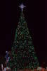 Ocean City, MD Christmas Tree Wishing All a Joyful...