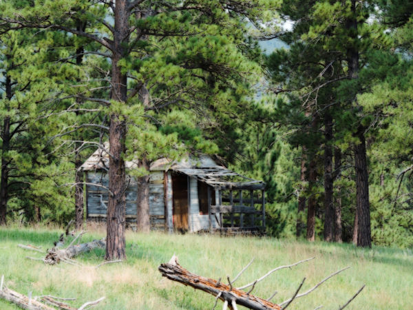 old cabin in Wyoming...