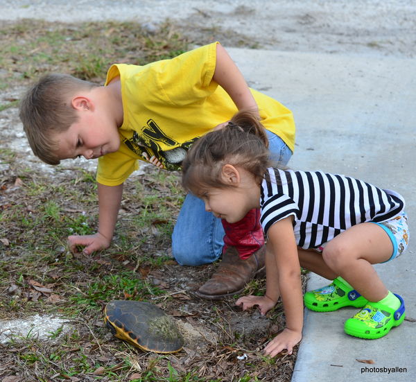 Checking out the turtle!...