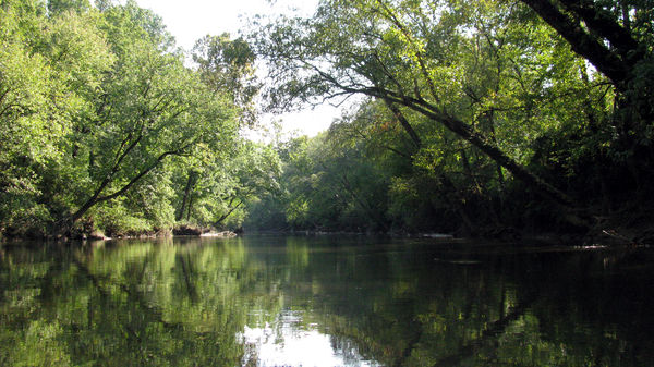 Cahaba River in Alabama...