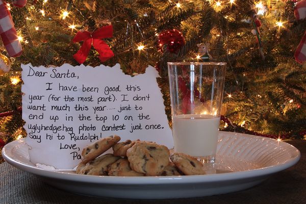Dear Santa........